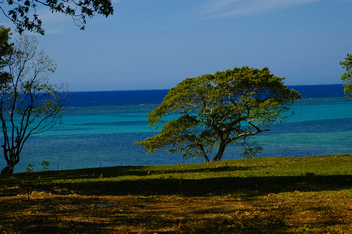Corner of Paradise